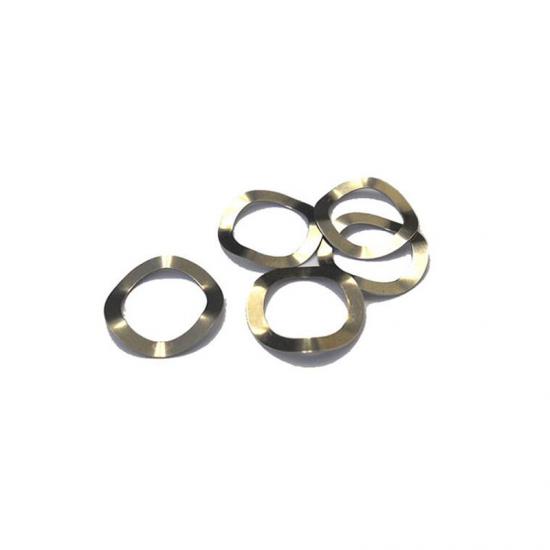 304ss Wave Spring For Coin Cell